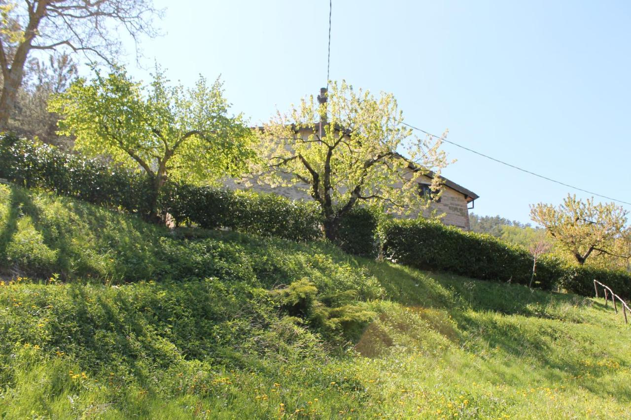 B&B Paradiso Gubbio Exteriér fotografie